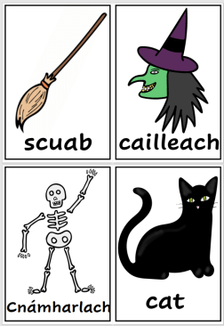 Oíche Samhna (Halloween) - Posters / Flashcards/ Matching Cards