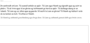 Gaeilge - 2 worksheets on 'an aimsir'