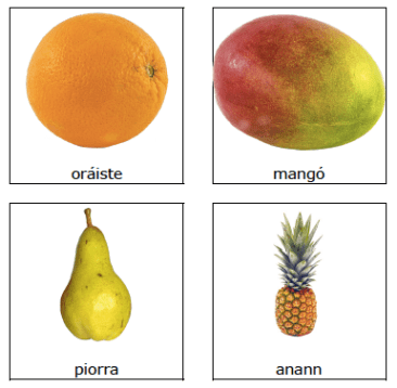 fruit2
