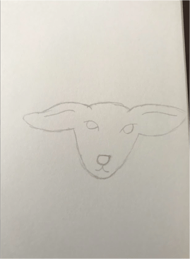 How to draw a Lamb pp