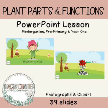 parts-of-a-plant-powerpoint-ks1
