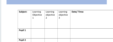 Lesson plan assessment pupil checklist