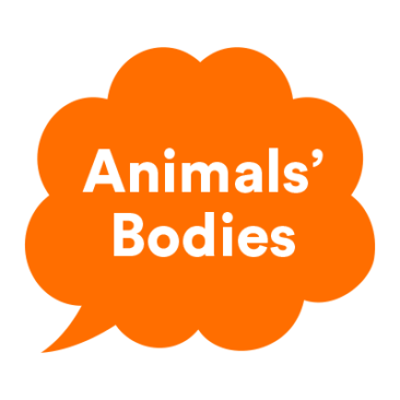 utalk_mash_animals_bodies
