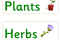 plantsaistear1