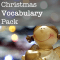 An Nollag-Christmas Vocabulary Pack
