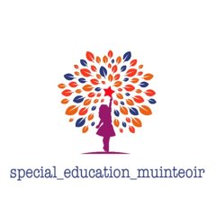 special_education_muinteoir
